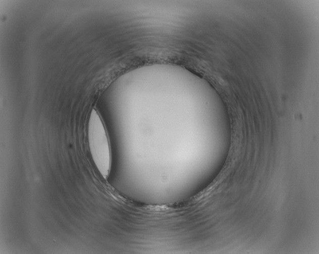 X0000067490528200604070956