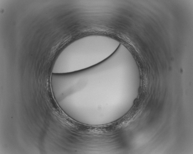 X0000067490545200604070955