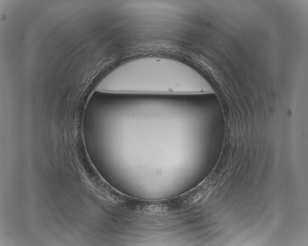 X0000067490546200604070955