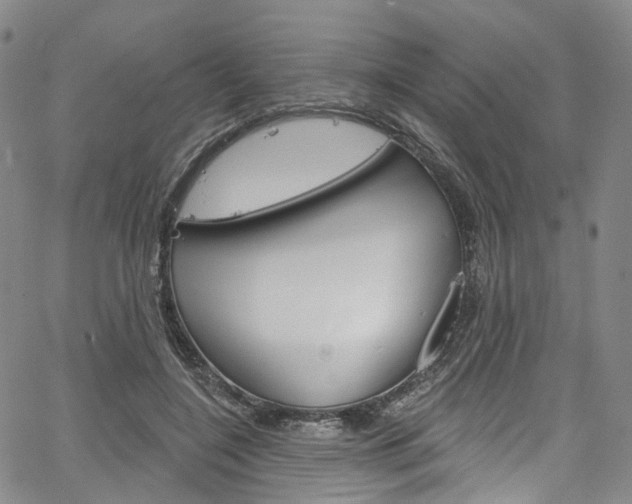 X0000067490548200604070955