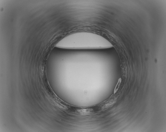 X0000067490558200604070955