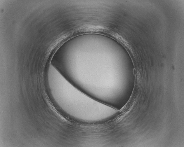 X0000067490581200604070955