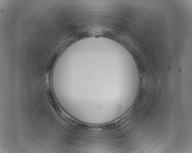 X0000067490598200604070955