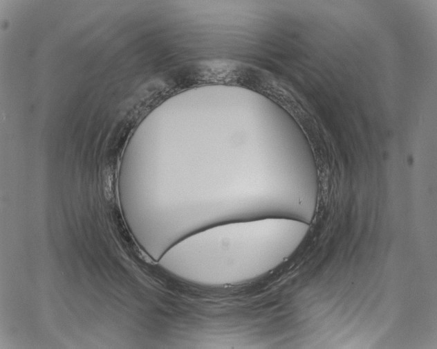 X0000067490602200604070954
