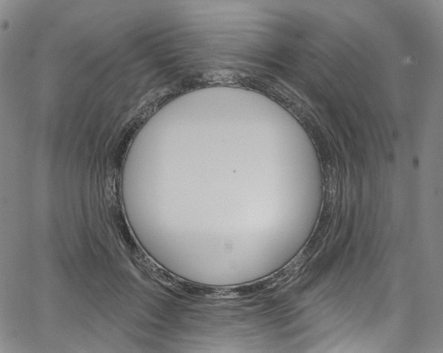 X0000067490603200604070954