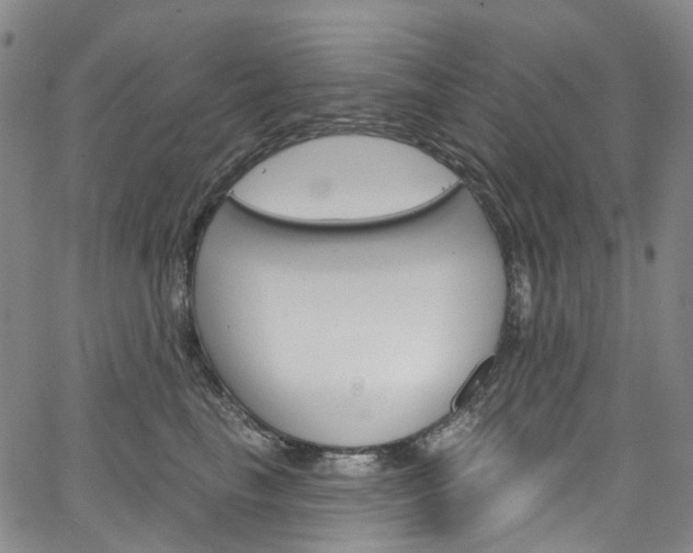 X0000067490665200604070954