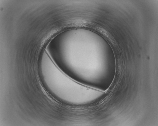 X0000067490677200604070953