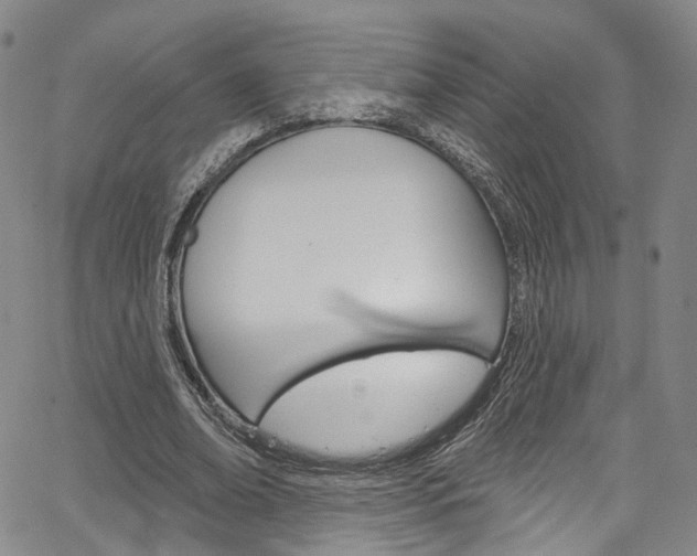 X0000067490678200604070953