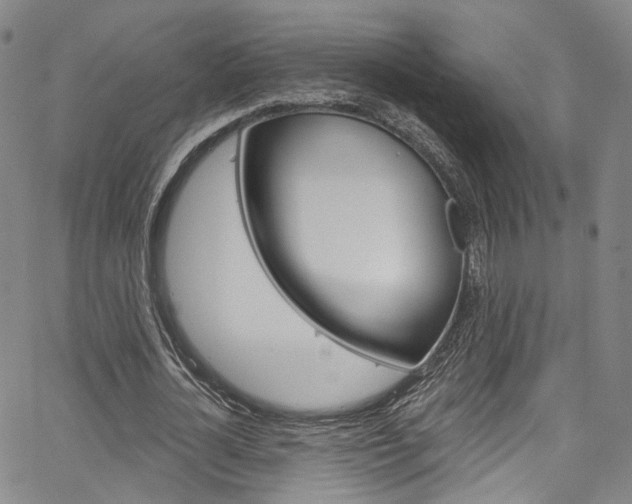X0000067490724200604070952