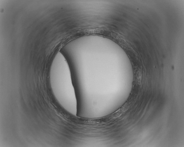 X0000067490746200604070952