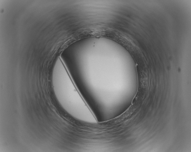 X0000067490748200604070952