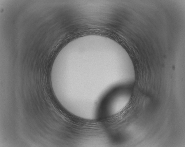 X0000067490750200604070952