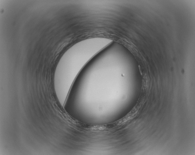 X0000067490762200604070952