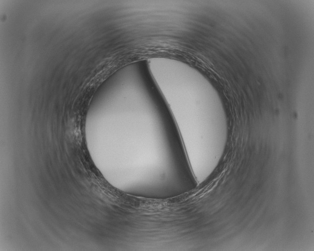 X0000067490771200604070952
