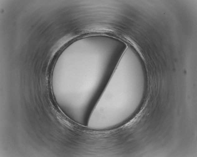 X0000067490779200604070952