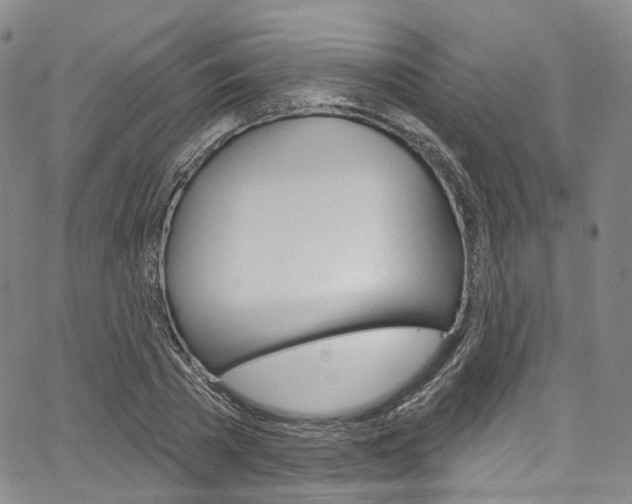 X0000067490785200604070952