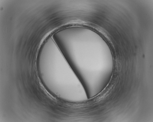 X0000067490791200604070951