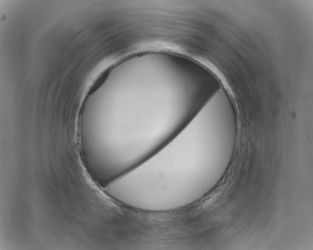 X0000067490815200604070951