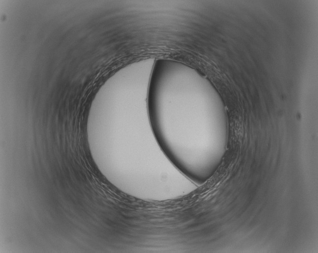 X0000067490818200604070950