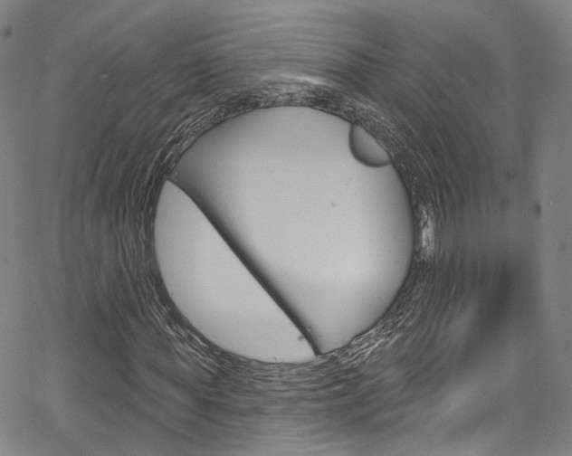 X0000067490819200604070950