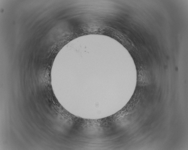 X0000067490820200604070950