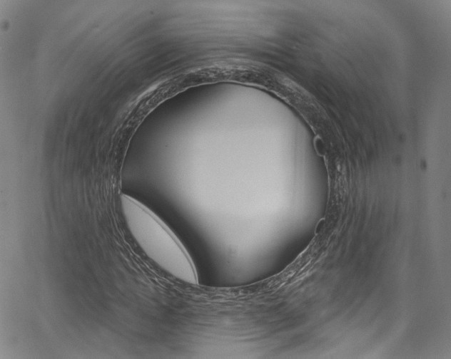 X0000067490822200604070950