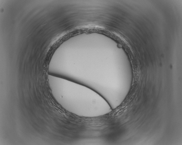 X0000067490823200604070950