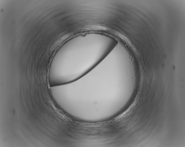 X0000067490833200604070951