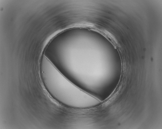X0000067490854200604070951