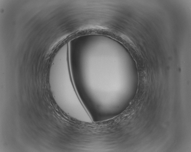 X0000067490872200604070950