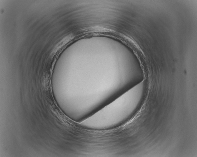 X0000067490873200604070950