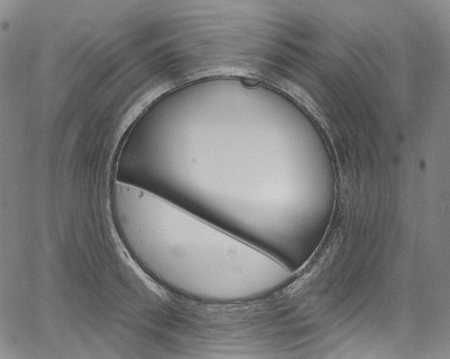 X0000067490898200604070950