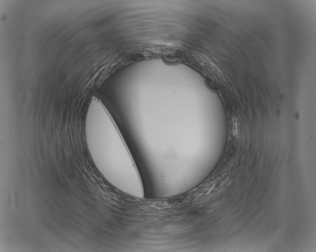 X0000067490915200604070949