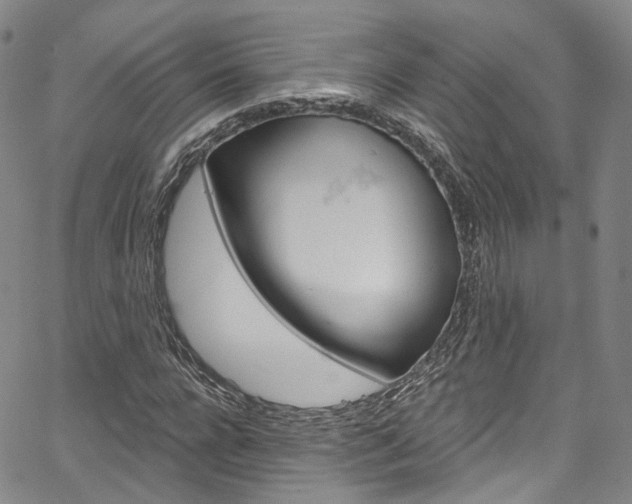 X0000067490920200604070949