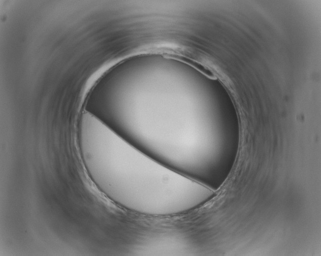 X0000067490960200604070949