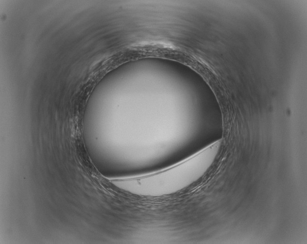 X0000067490965200604070949