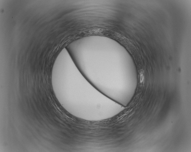 X0000067491011200604070947