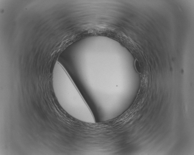 X0000067491012200604070947