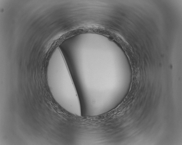 X0000067491016200604070947