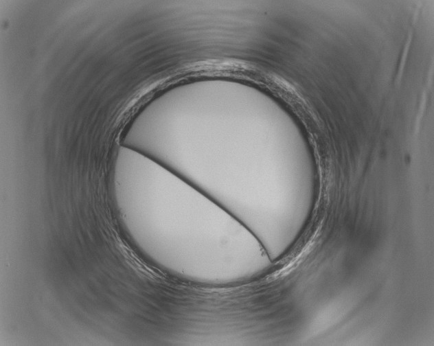 X0000067491017200604070947