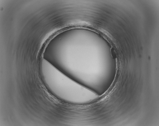X0000067491022200604070947