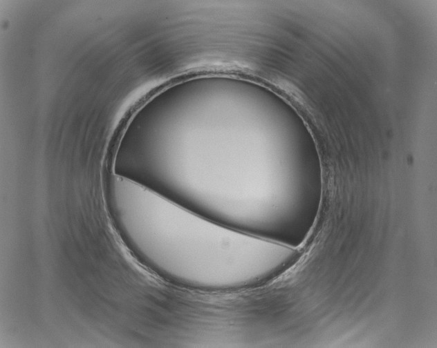 X0000067491030200604070947