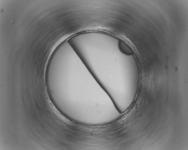 X0000067491036200604070948