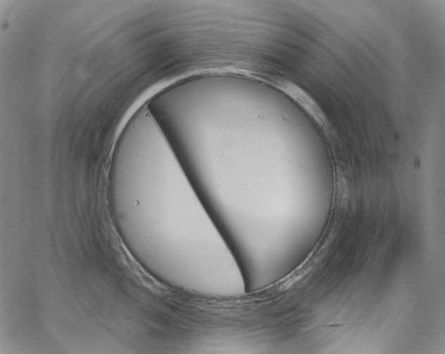 X0000067491052200604070948
