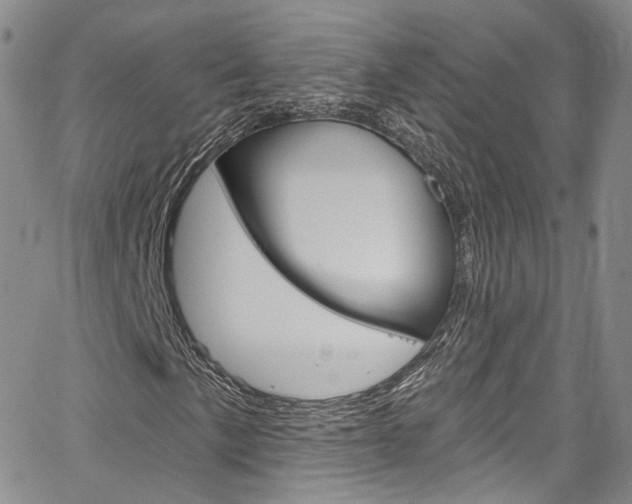 X0000067491057200604070947