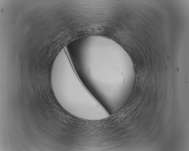X0000067491058200604070947
