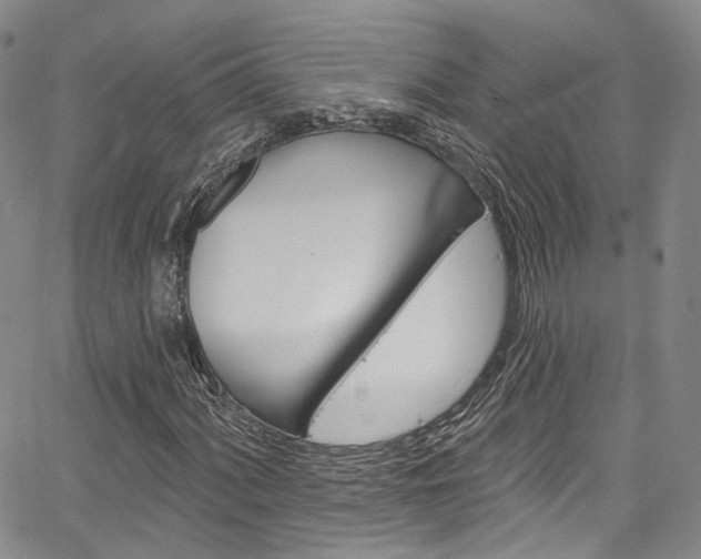 X0000067491060200604070947