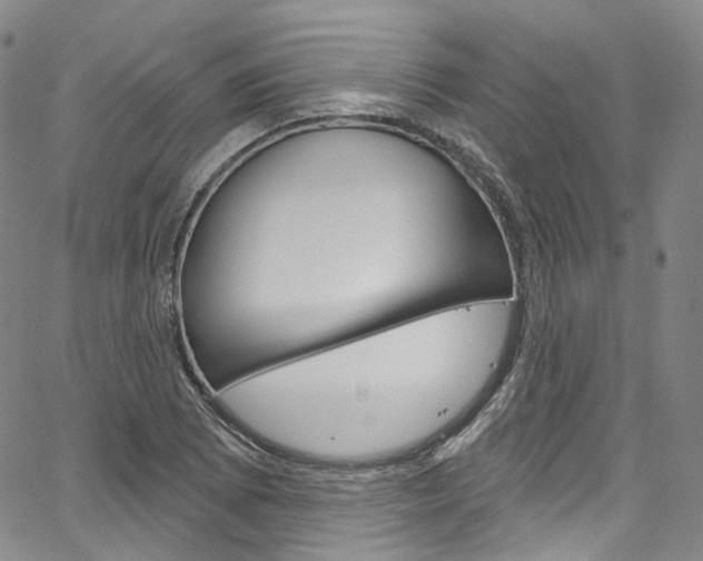 X0000067491073200604070947