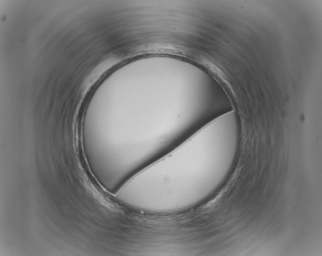 X0000067491082200604070947