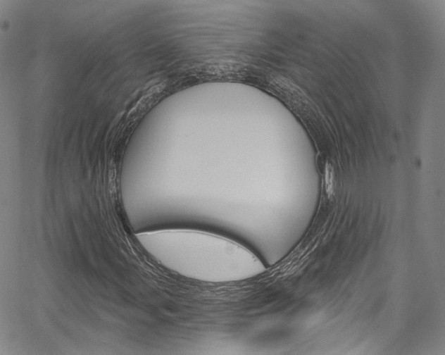 X0000067491107200604070946